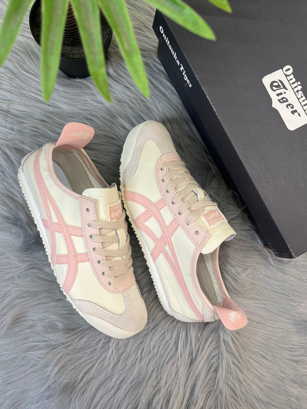 Tiger 'Peach’