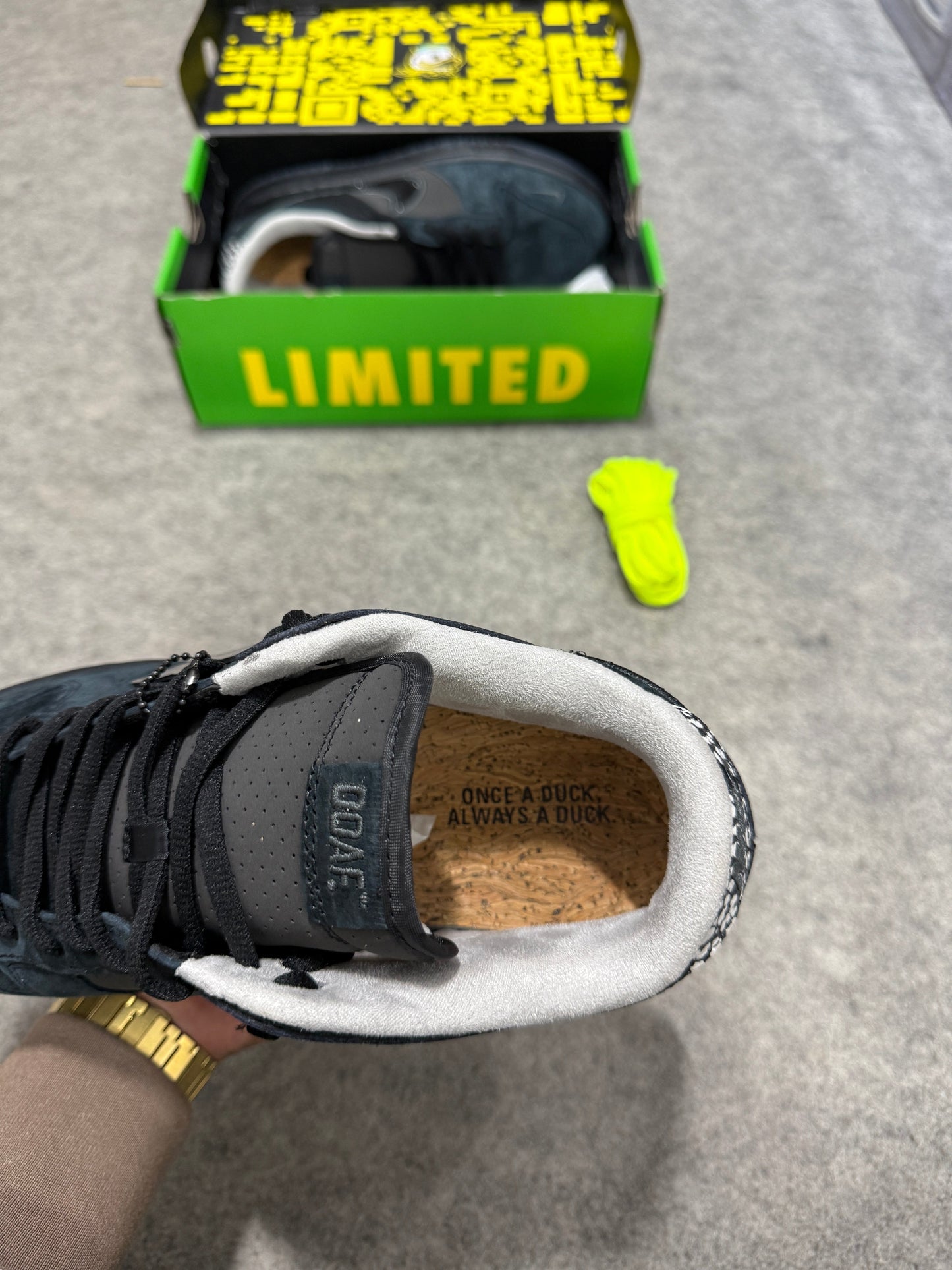 SB Dunk low 'Duck Of The Feather Black University'