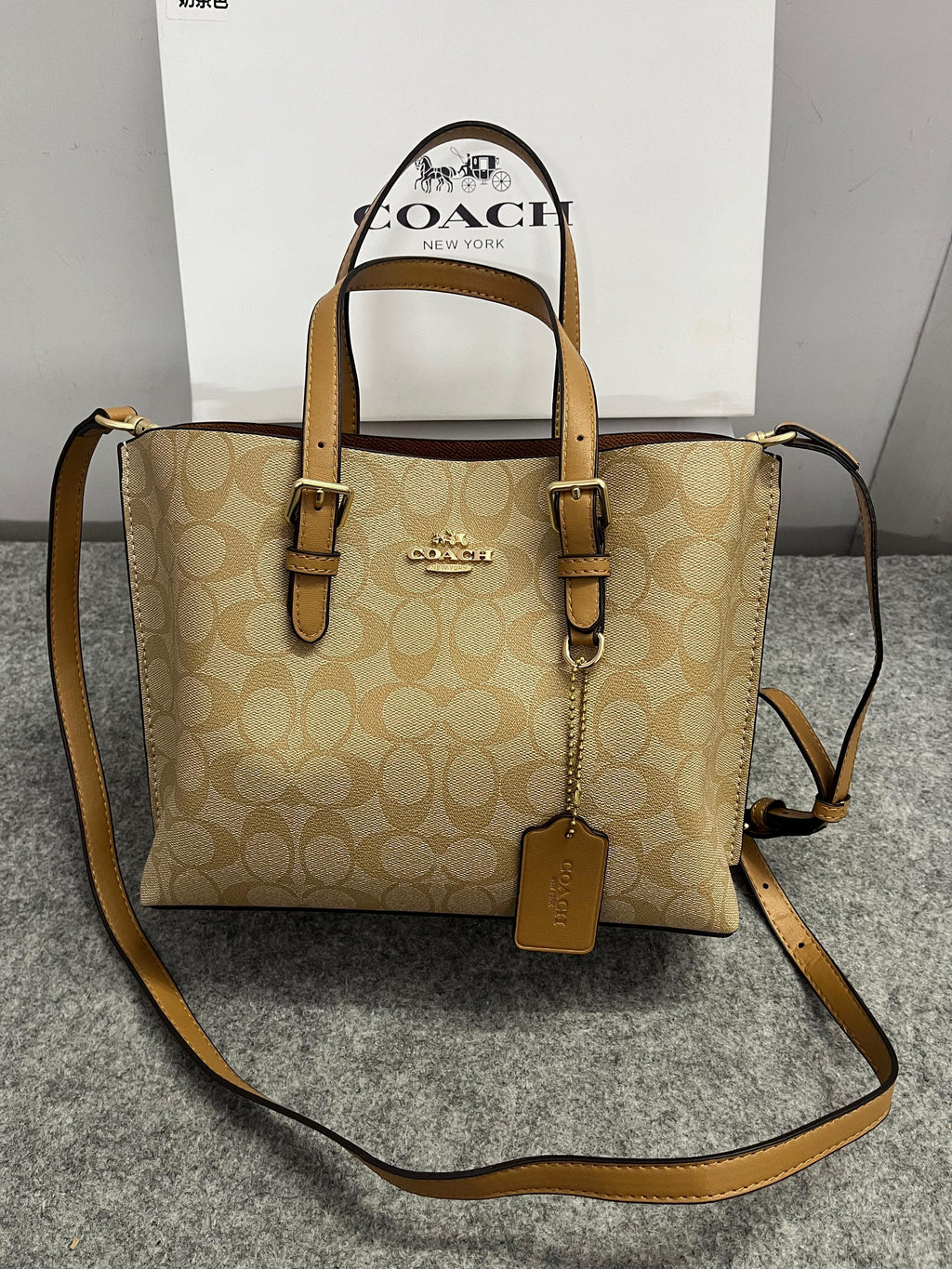 Coach Mollie Leather Tote Bag (Apricot)*🔥⚡