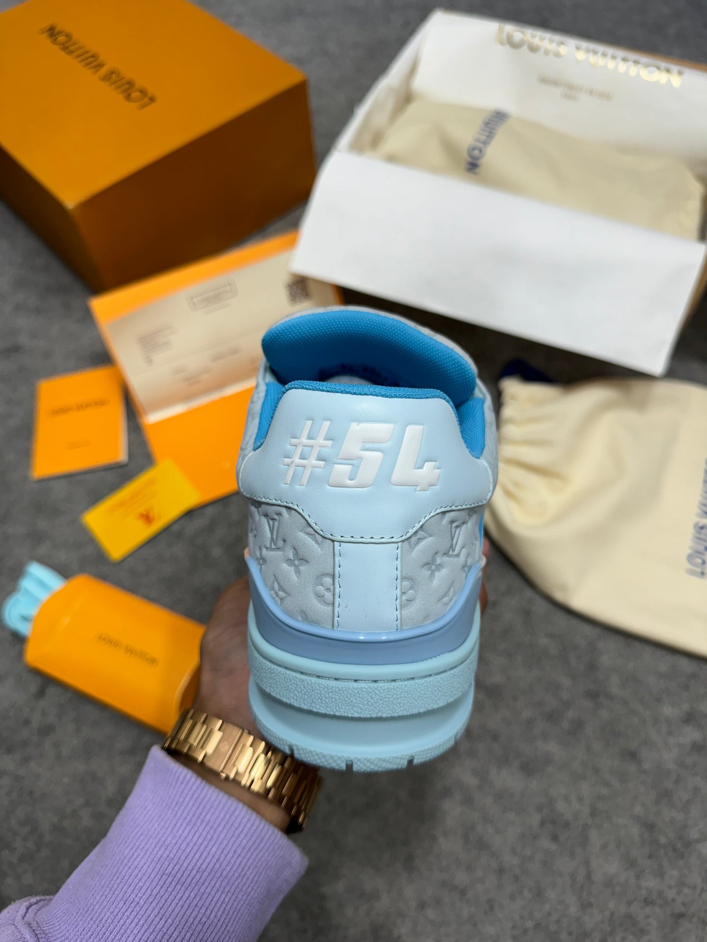 Louis Vuitton x Tyler The Creator Trainer 'BLUE'    (UA)