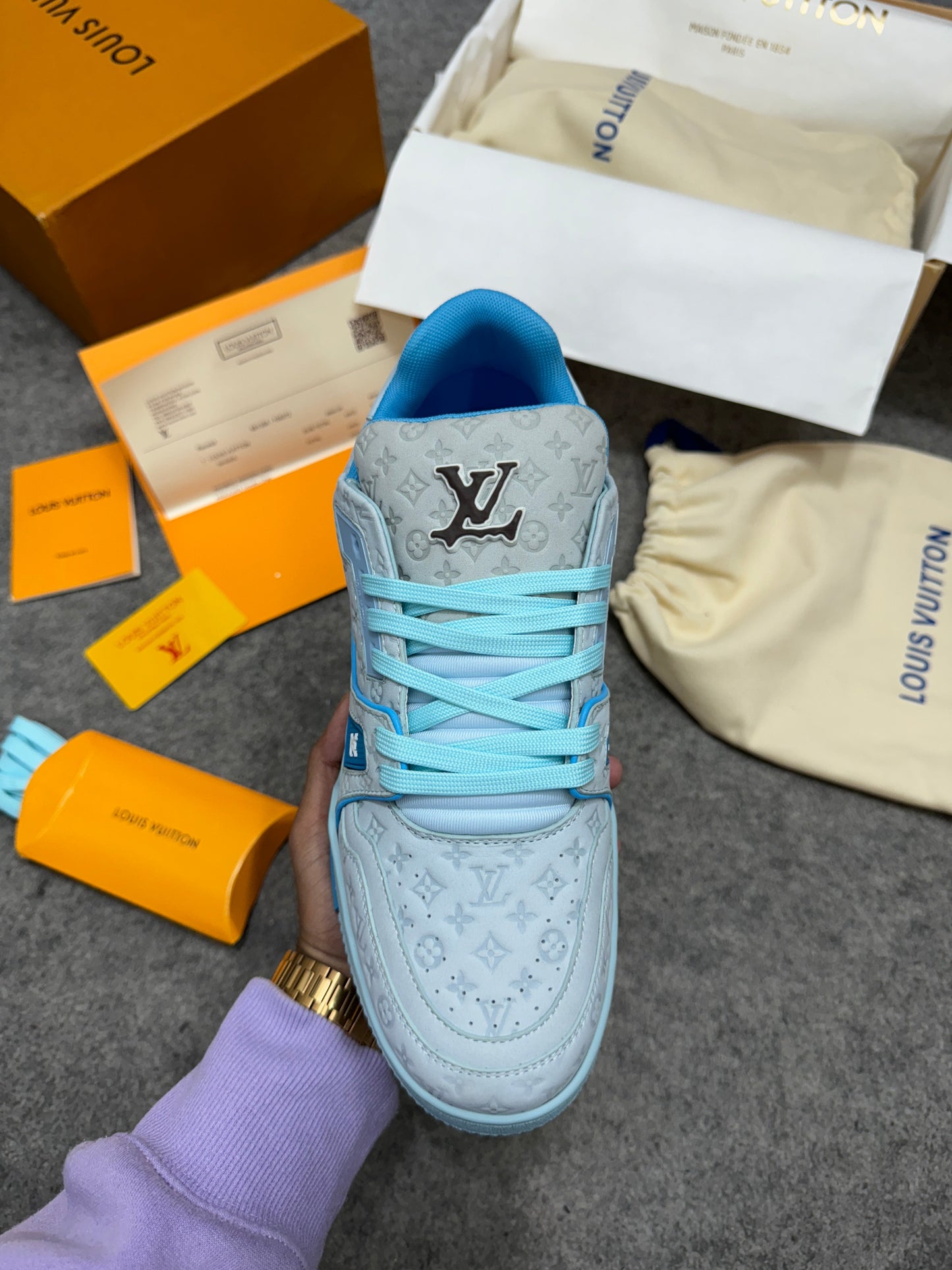 Louis Vuitton x Tyler The Creator Trainer 'BLUE'    (UA)